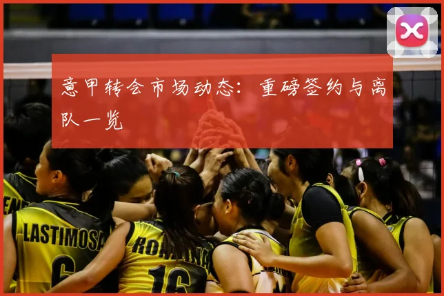 意甲转会市场动态：重磅签约与离队一览