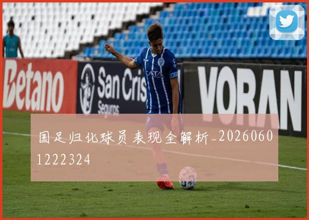 国足归化球员表现全解析_20260601222324
